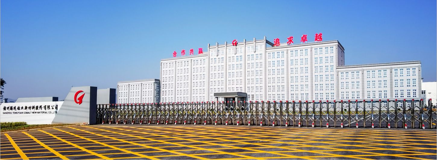 赣州腾远钴业新材料股份有限公司年产2万吨钴、1万吨镍金属量系列产品异地智能化技术改造升级及原辅材料配套生产项目