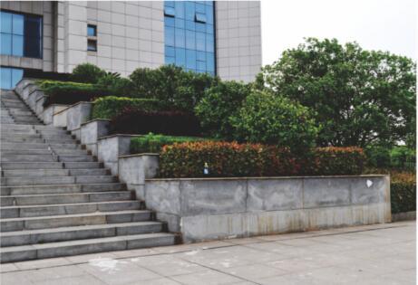 萍乡市南坑镇妙泉学校绿化工程